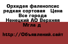 Орхидея фаленопсис редкая сортовая › Цена ­ 800 - Все города  »    . Ненецкий АО,Верхняя Мгла д.